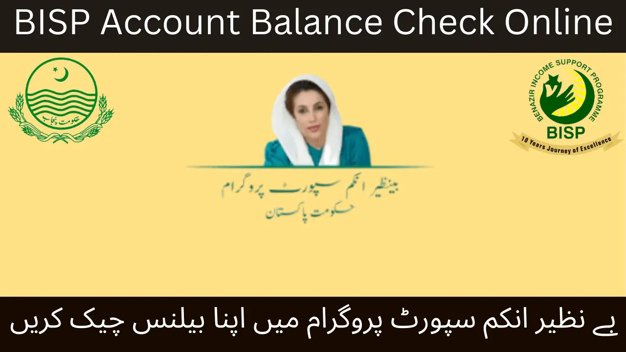 Benazir Income Support Program Account Balance Check Online