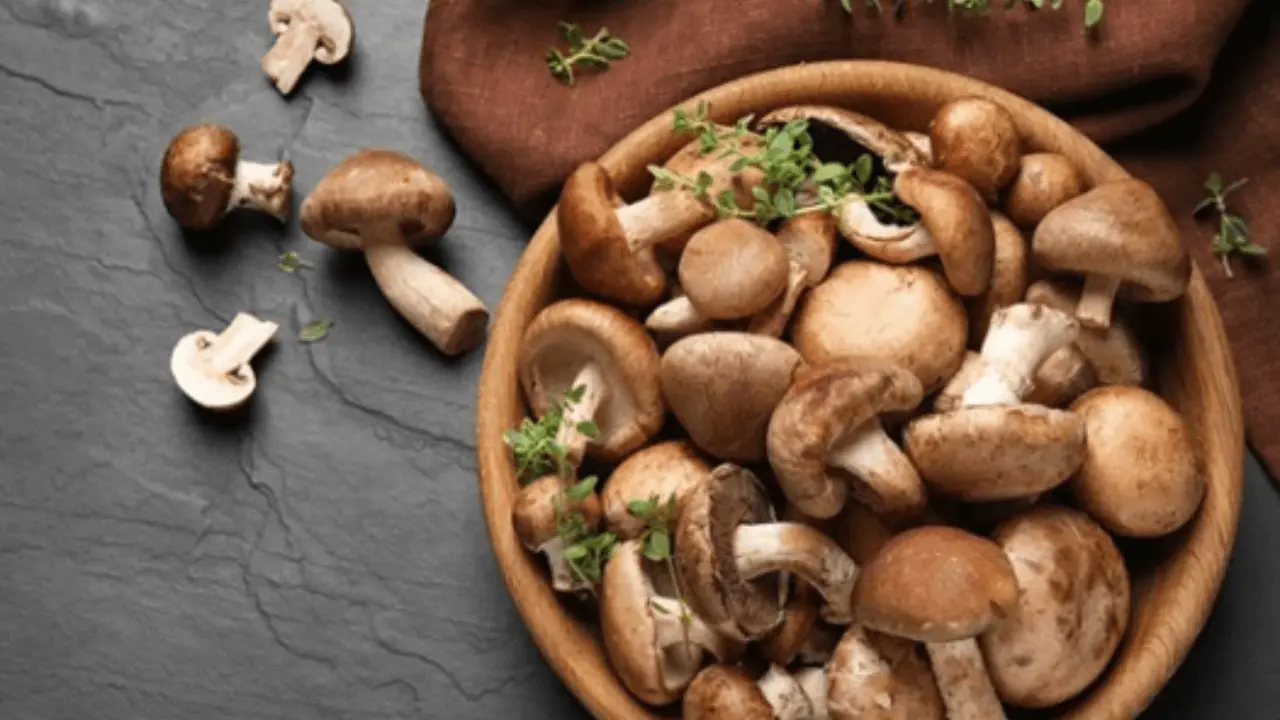 superfood for skin Mushroom Growth was The Result