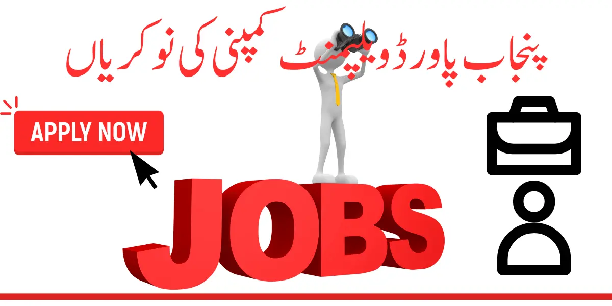 Punjab Power Development Company (PPDC) Jobs 2024